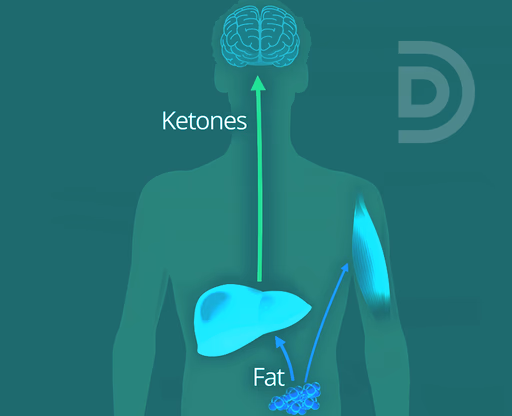 Guide to Ketosis