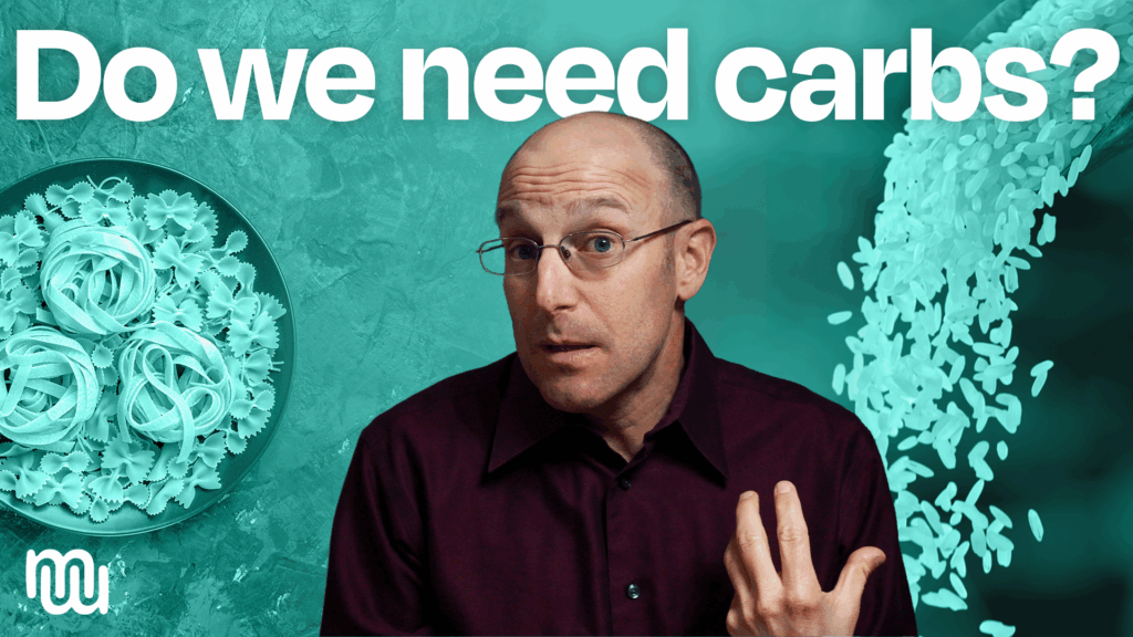 Does the Brain Need Carbs?