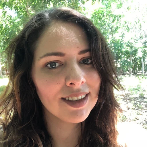 Ketogenic Diet-Derived Faecal Microbiota TransplantationImproved Sensorimotor Gating Deficit in an Acute Nmda-ReceptorAntagonist Model of Schizophrenia in Mice