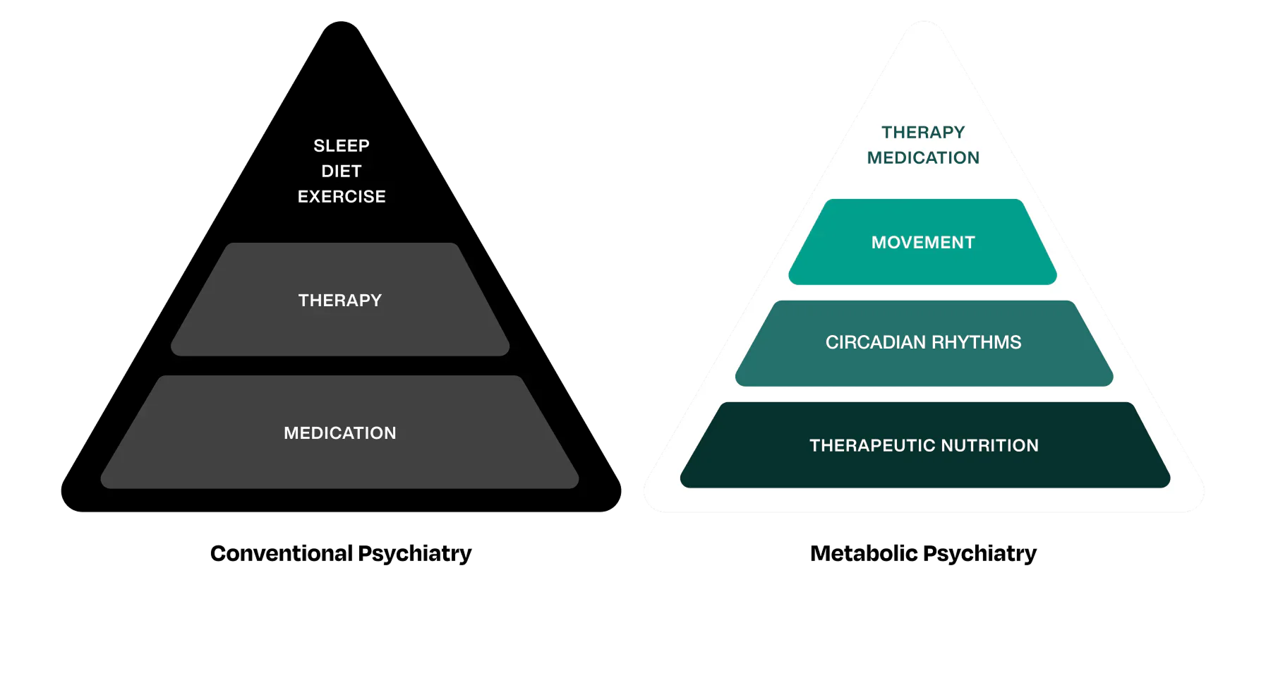 Diagram illustrating how metabolic dysfunction affects brain health, with labeled elements like inflammation, oxidative stress, and disrupted energy metabolism.