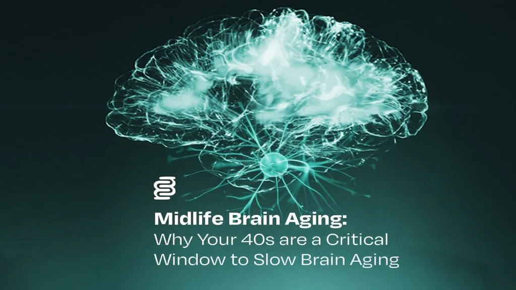 Midlife Brain Aging: Why Your 40s are a Critical Window to Slow Brain Aging